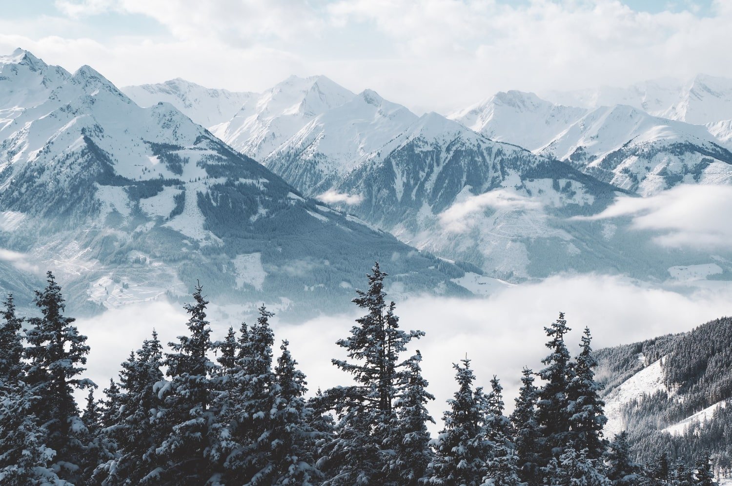 Things To Do In Manali