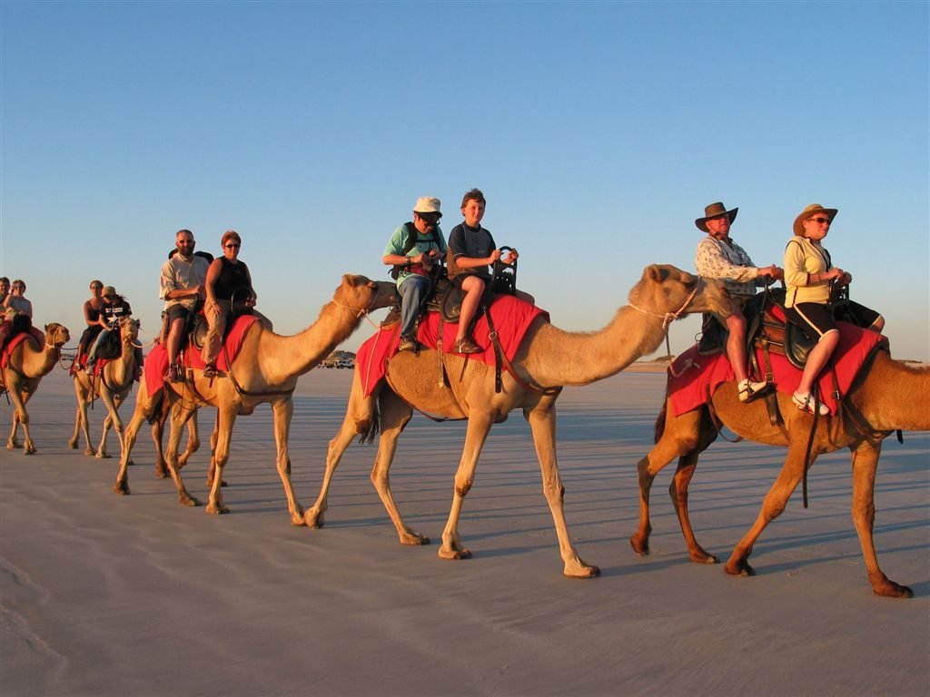 Rajasthan-Camel-Safari-1024x768